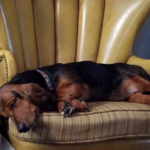 Meet your Posher, Heather